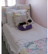 Operation Clutter Control