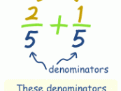 common-denominator