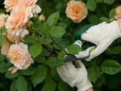 images-9