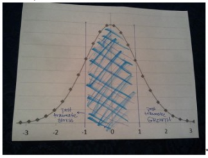 Seligman graph