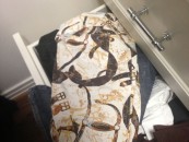BK Pants