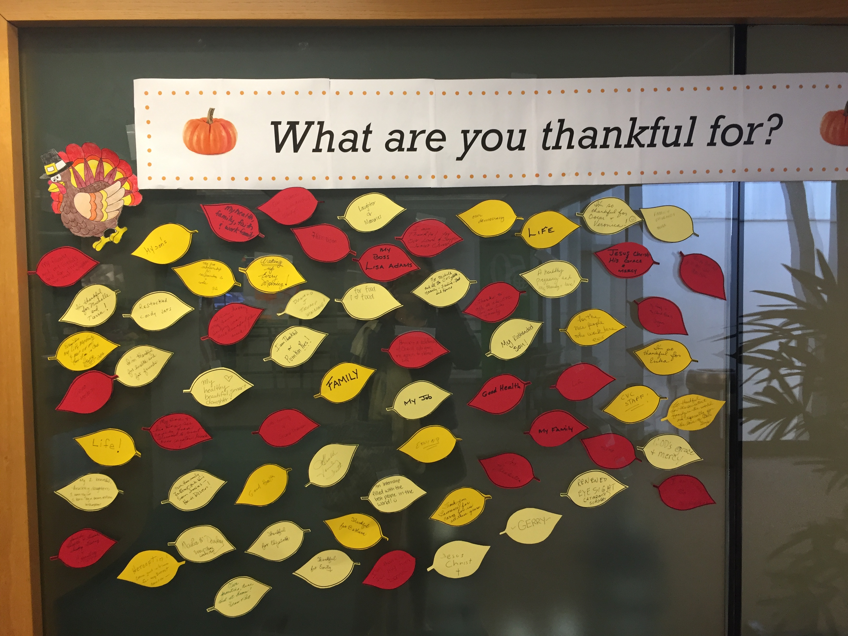 Hydrating for Holidays – More on Gratitude