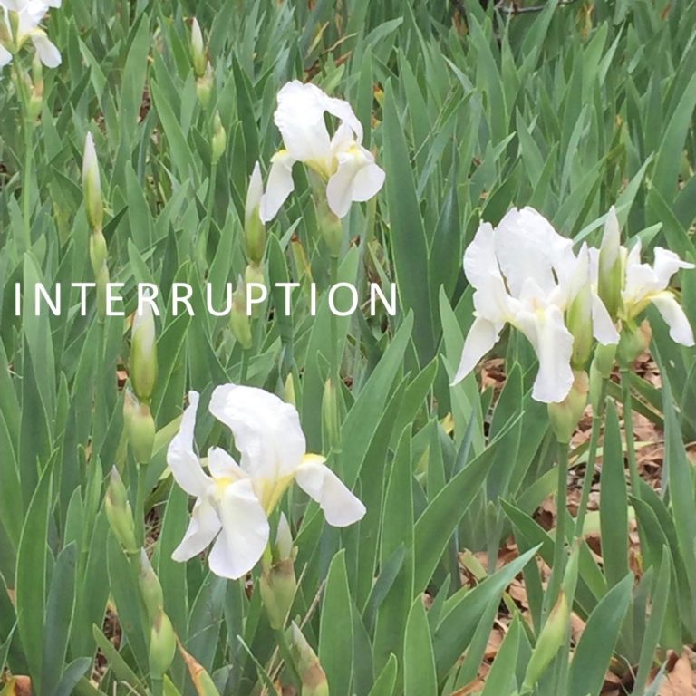 An Interruption