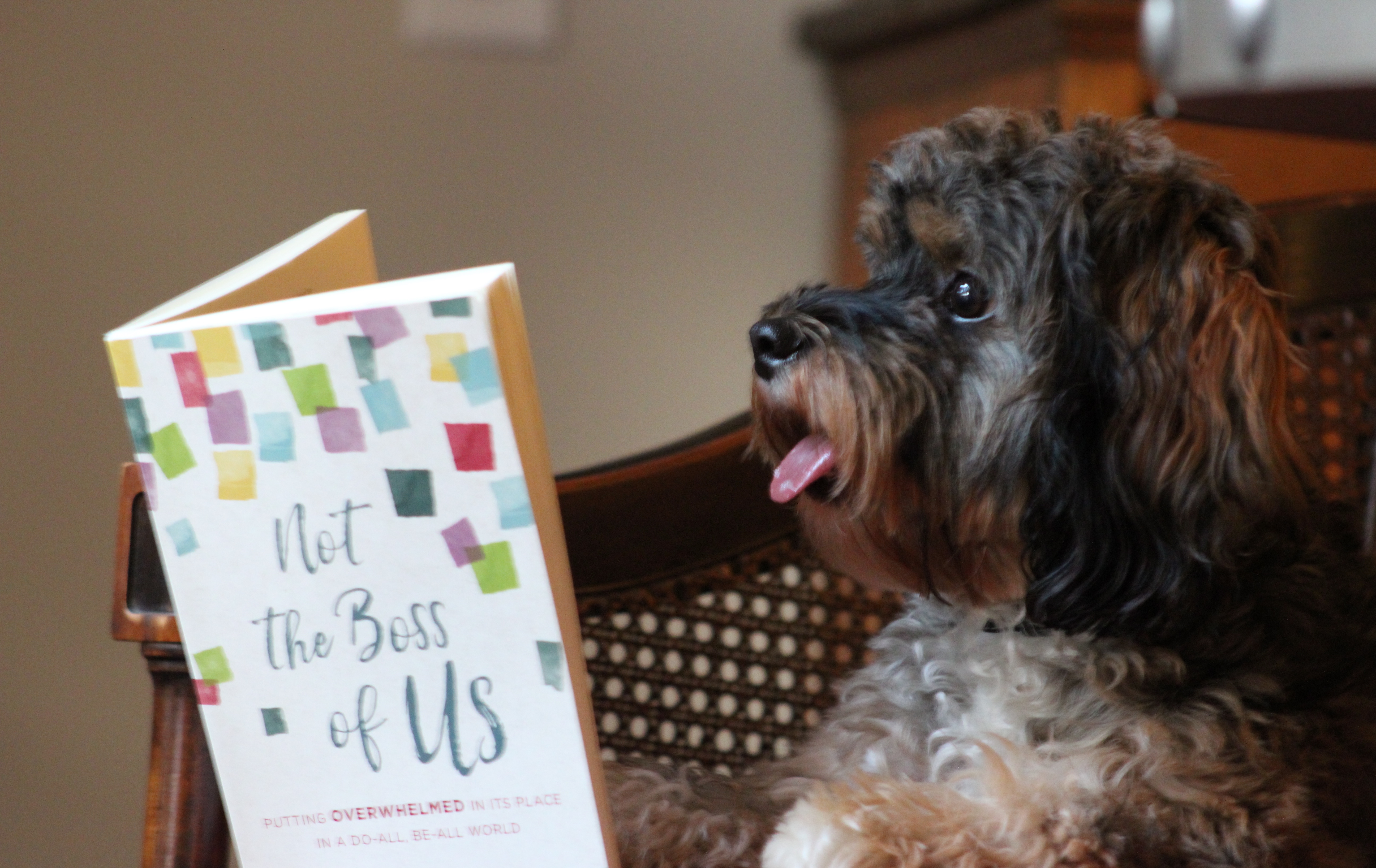 Not the Boss of Us – Behind the Scenes Look at a Pub Date
